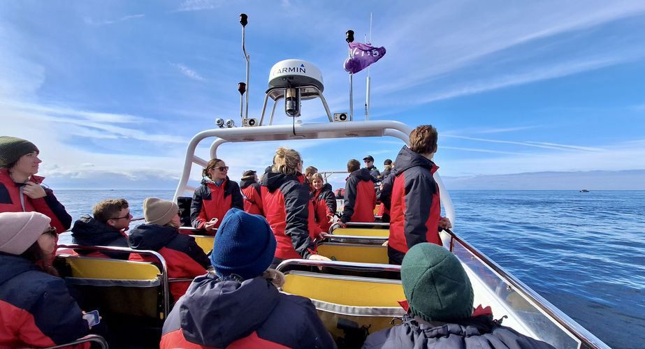 28 38 Canada 80 28 38 Canada 80